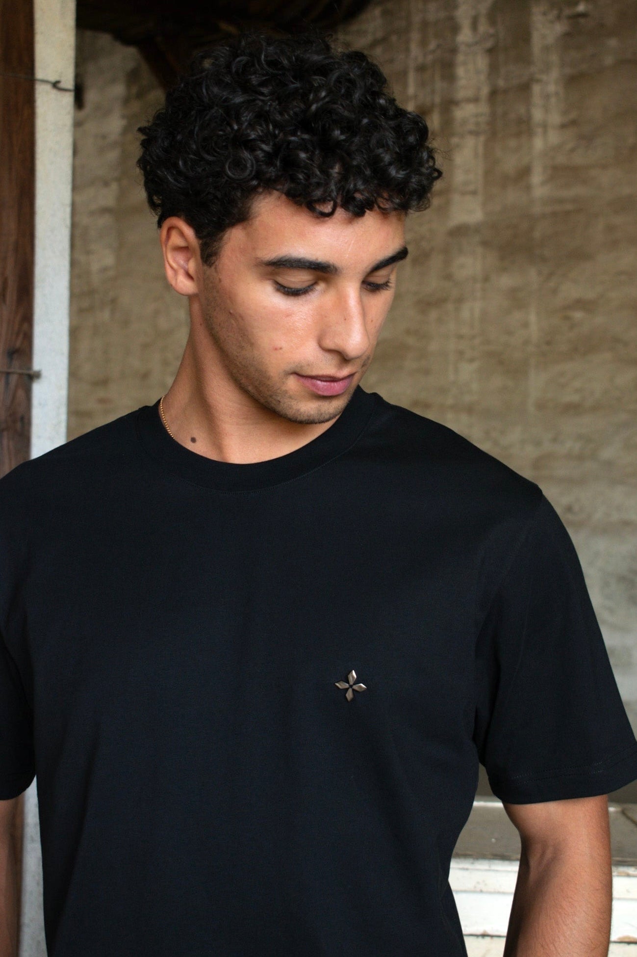 THE ODE TO PERSISTENCE [TSH3a]