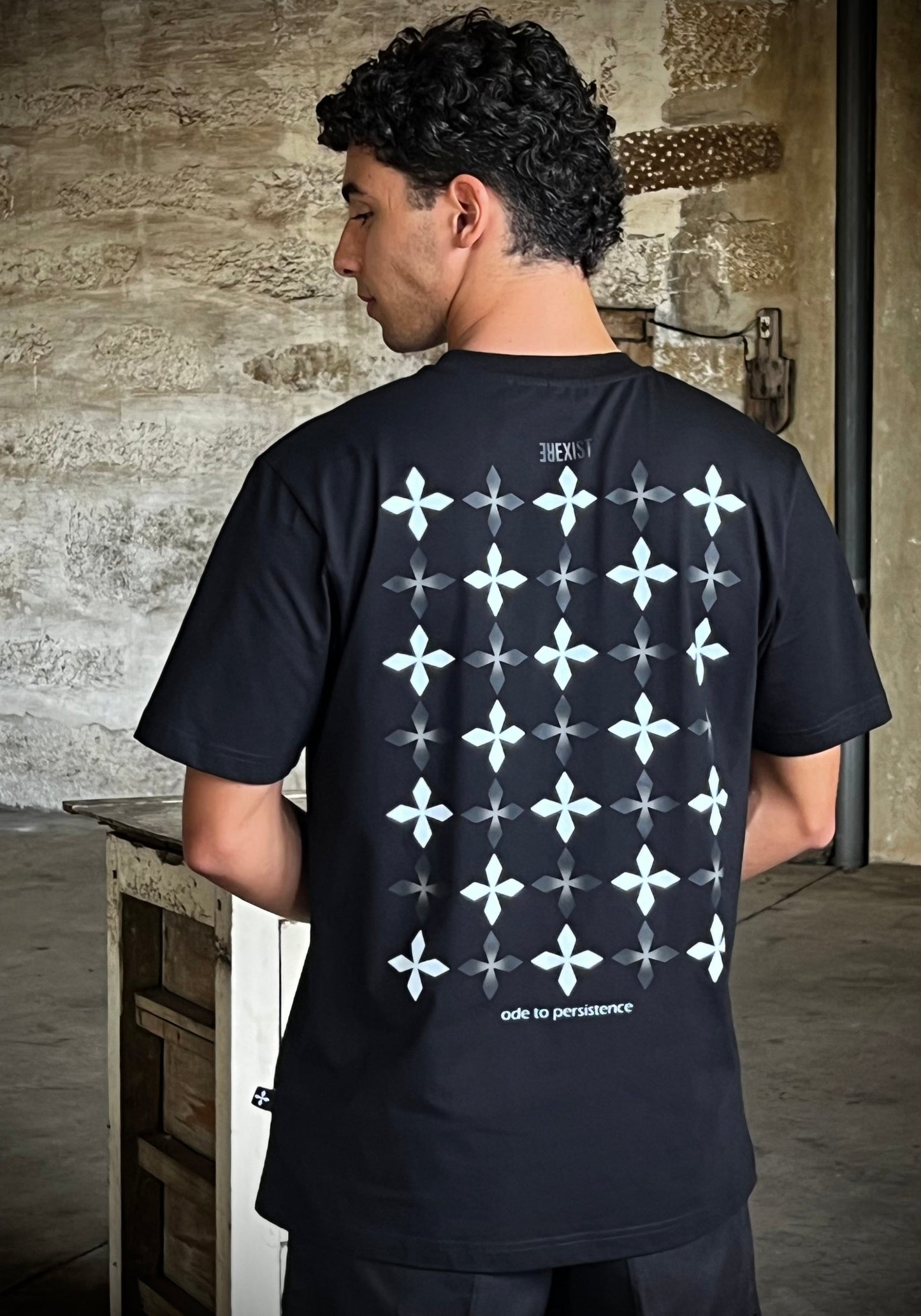 THE ODE TO PERSISTENCE [TSH3a]